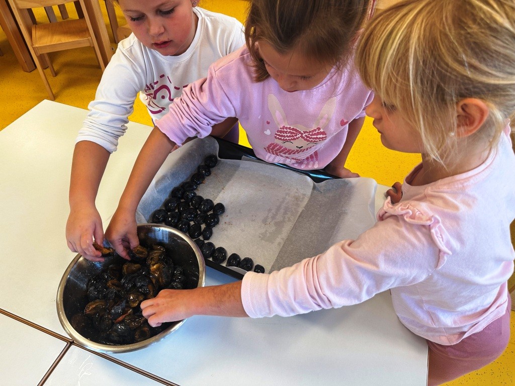 Medunarodni-dan-starijih-osoba Djeca slažu polovice šljiva na lim za sušenje
