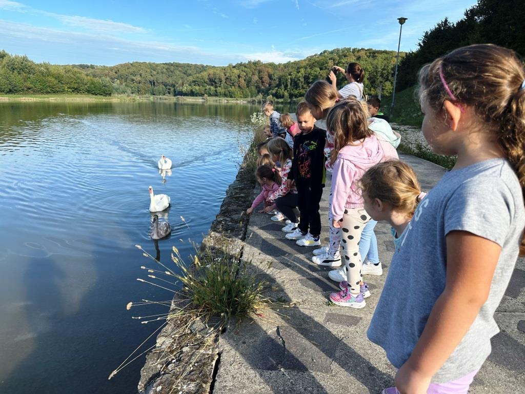 Djeca promatraju labudove na jezeru